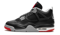 Air Jordan 4 Bred Reimagined FV5029-006